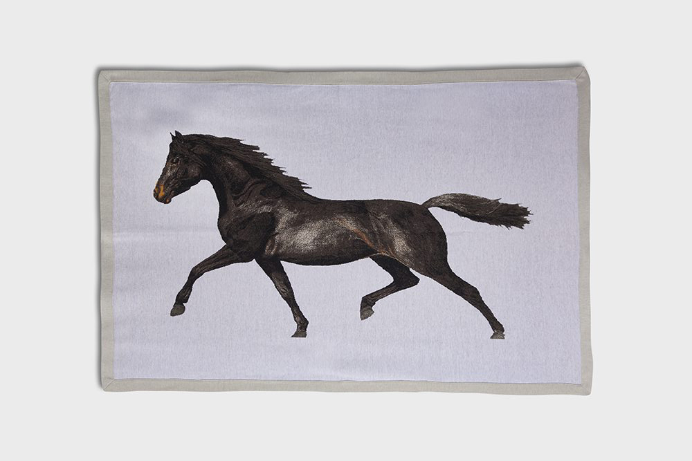 Coperte-Simone0133-1-e1638200619800